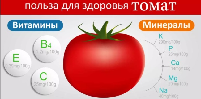 Польза помидоров краткое